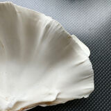 Shell decoration