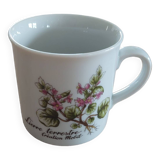 Mobil ground ivy mug
