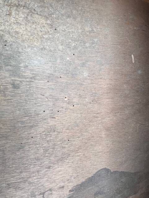 Cabinet - 4 drawer trade furniture with shell handles