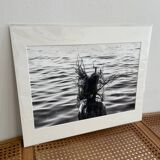 Photo Alice ducheix - Gallery Zones