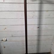 Perroquet en bois courbé ancien 