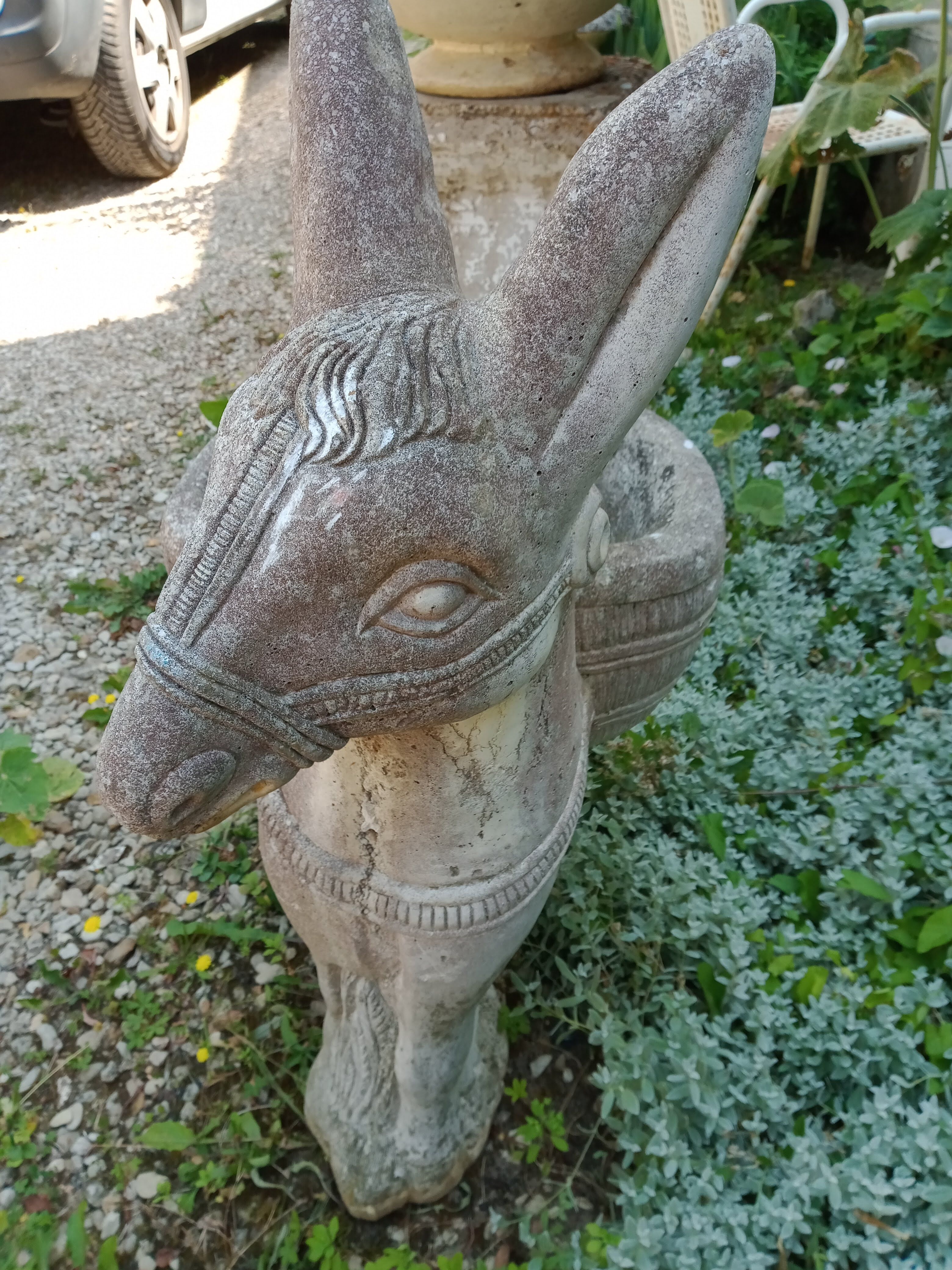 Cement donkey planter