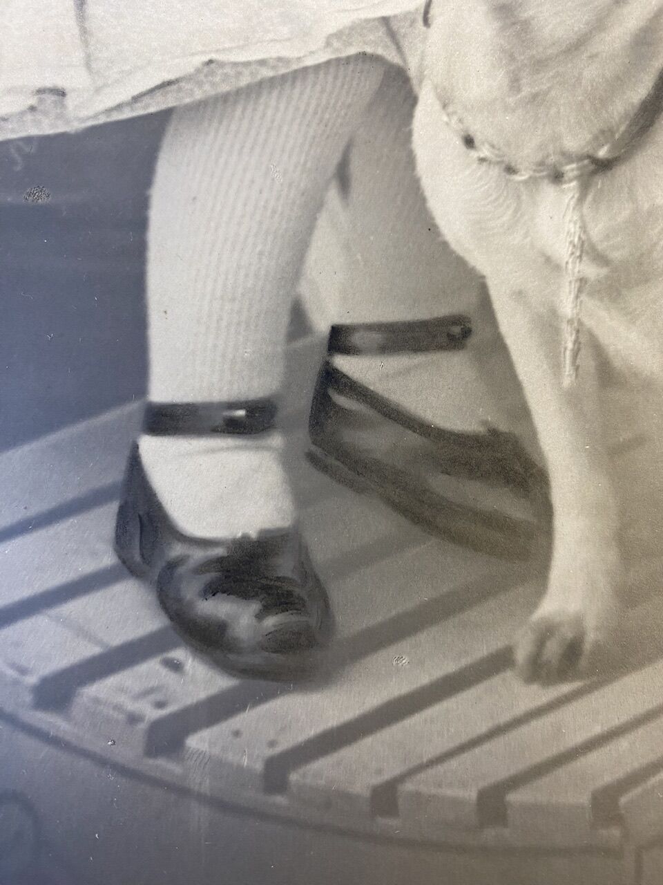 Old photo, signed, early XX century