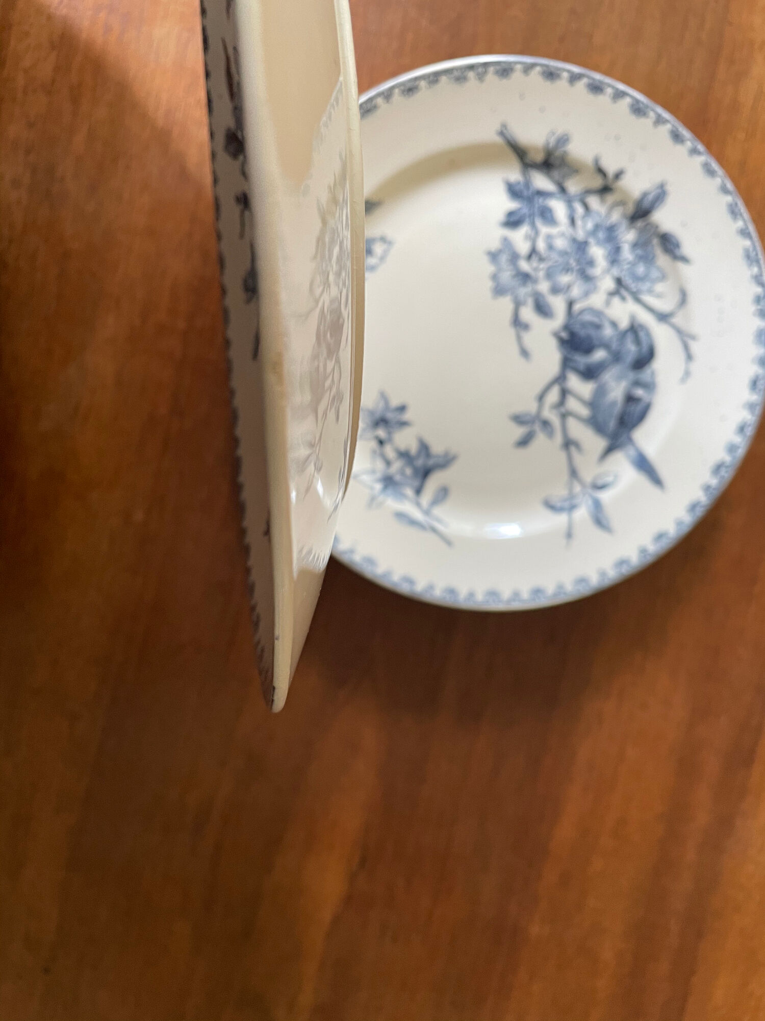 Flat plates Sarreguemines Terre de Fer model Blue Favorite