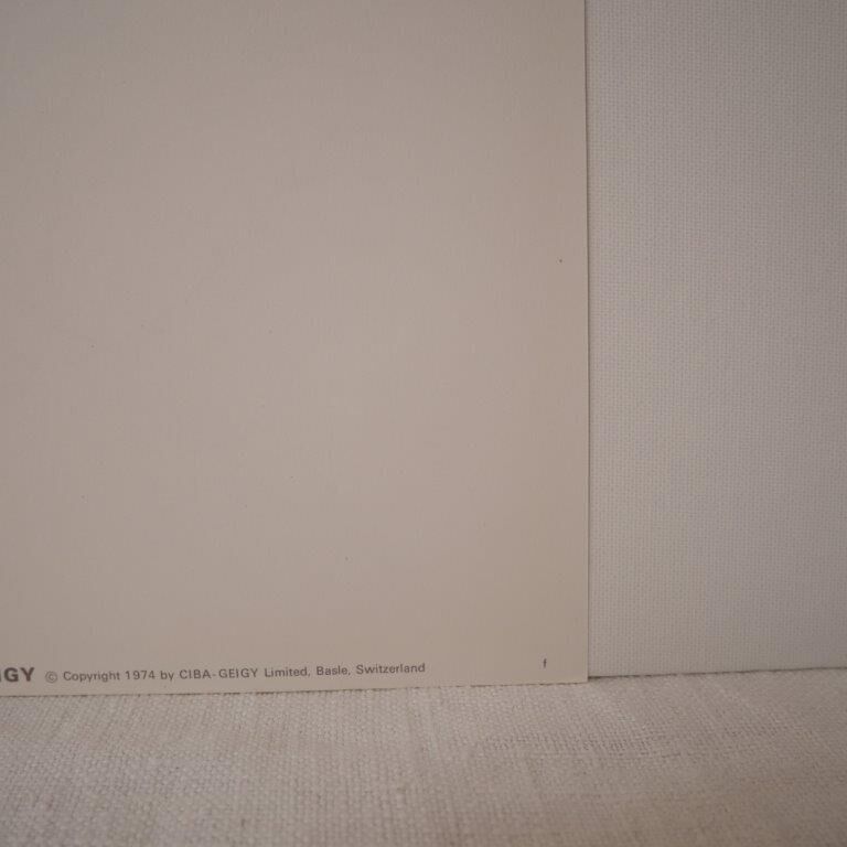 Botanical board, Glasses or ophthalmic grass