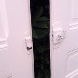 Paire de portes de placard anciennes