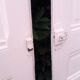 Pair of doors of antique closet