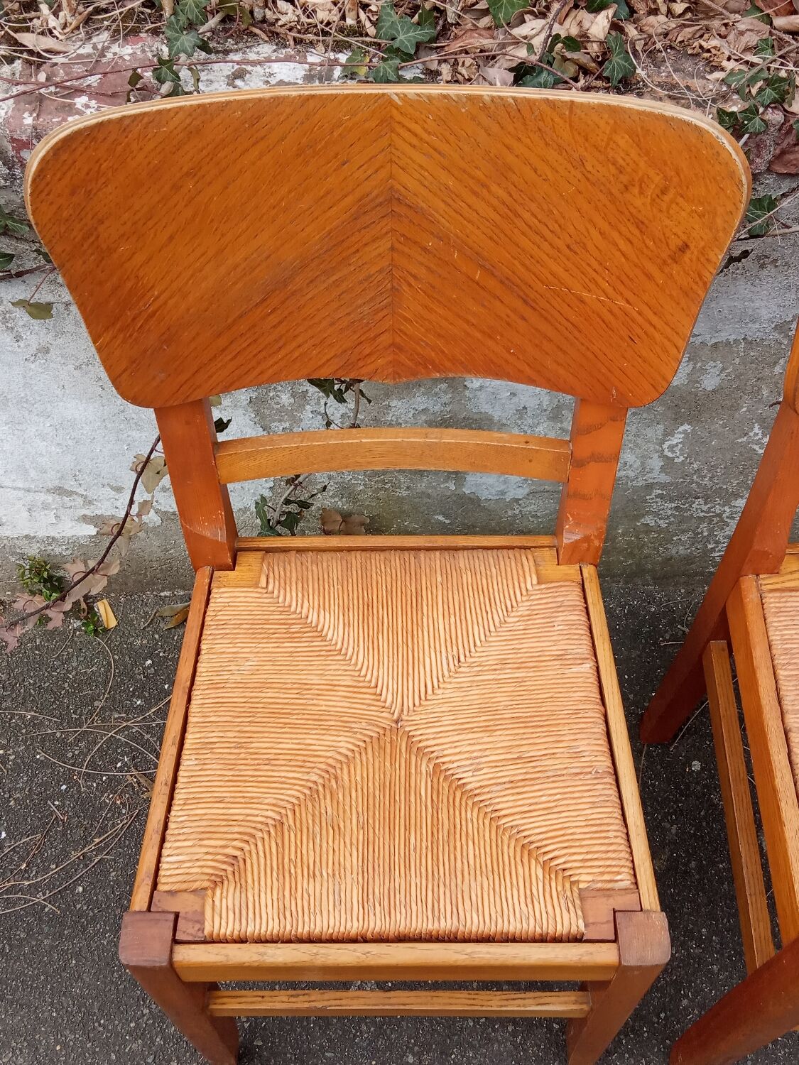 Paire de chaises paillées années 50