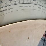 Antique double-sided scale grocery counter