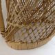 Double door wicker plant armchair