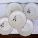 5 flat plates from Salins 210646