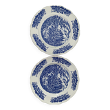 Set of 2 flat plates pyroblan blue