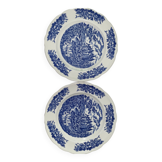 Set of 2 flat plates pyroblan blue