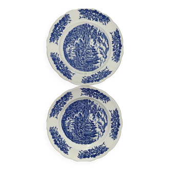 Lot de 2 assiettes plates pyroblan bleu