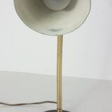 50 lamp