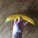 4 fruits décoratifs en bois