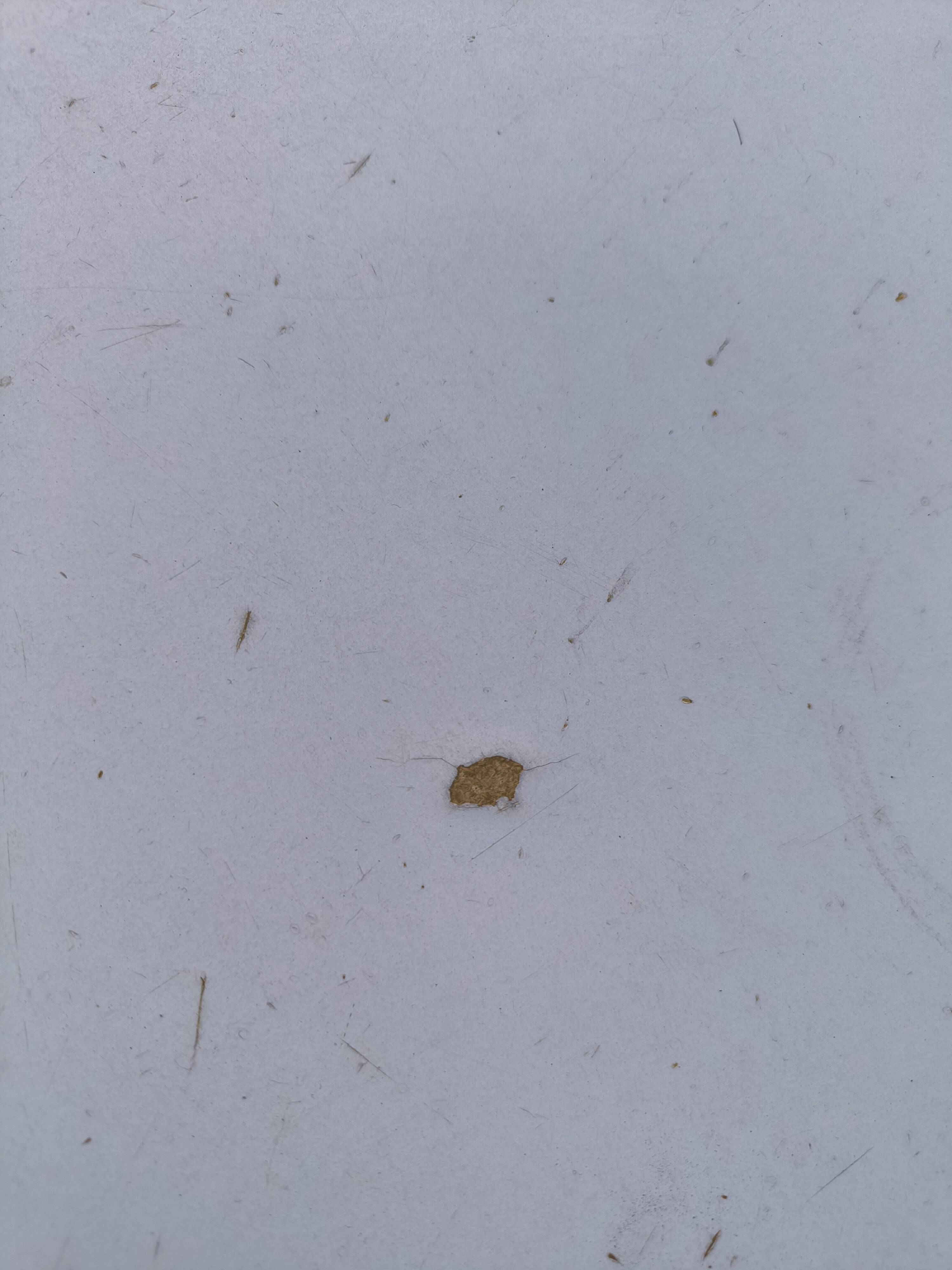 Set of 4 Aldo Jacober style chairs and butterfly table