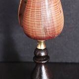 Cabinet of Curiosities conus figulinus shell on base