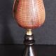 Cabinet de Curiosités coquillage conus figulinus sur socle