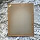 Framed zoological plate of birds