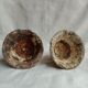 Old terracotta sap pots