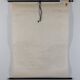 Vintage educational wall hanging roll chart biology