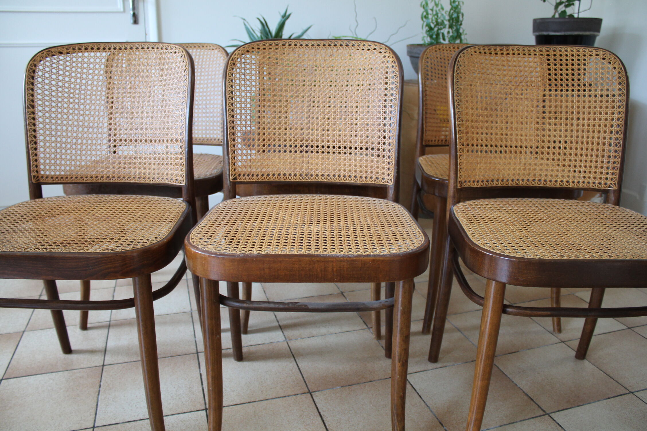 Set of 6 chairs canned drevounia