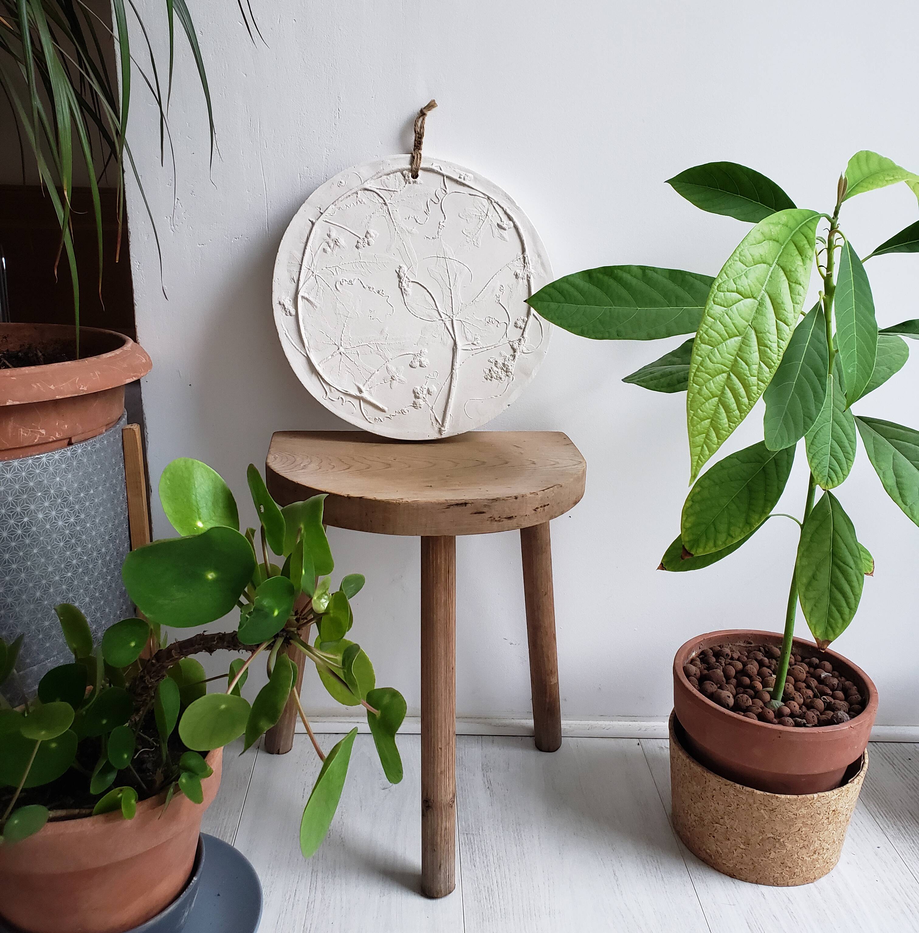 Plaster plant footprint