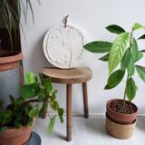 Plaster plant footprint