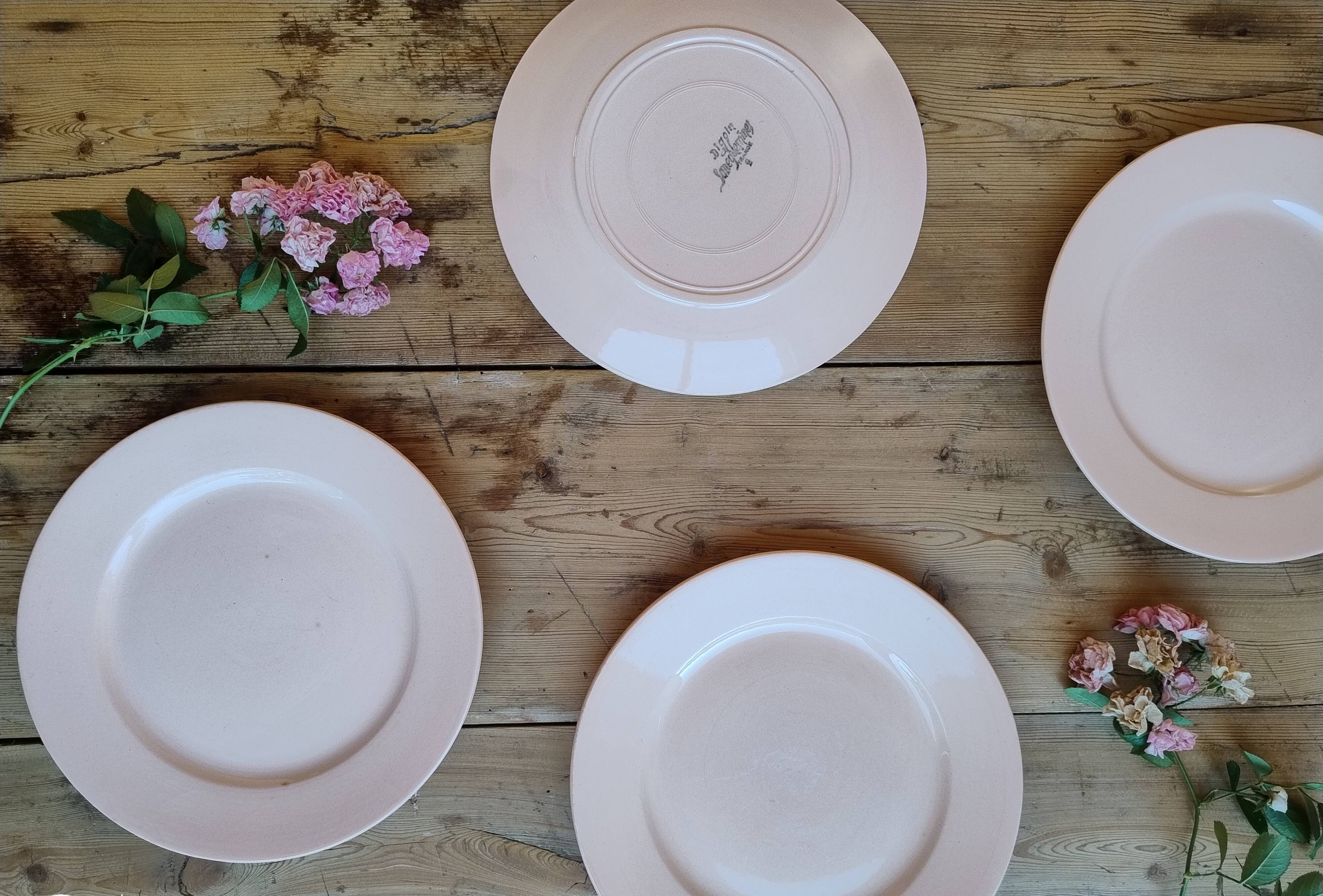 Vintage dessert plate in earthenware - Digoin & Sarreguemines