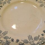 Plat Sarreguemines noisettes
