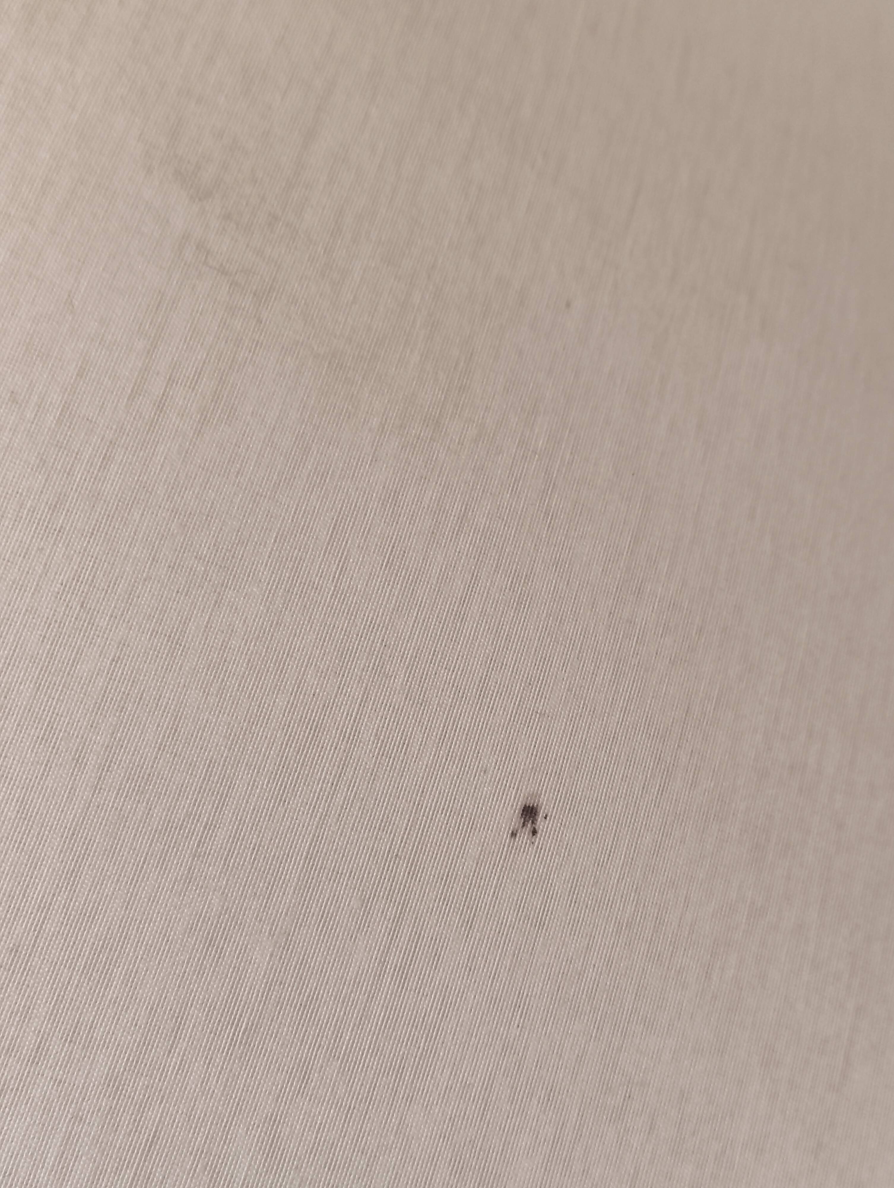 Table lamp by Wilhelm Wagenfeld for Technolumen