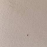 Table lamp by Wilhelm Wagenfeld for Technolumen