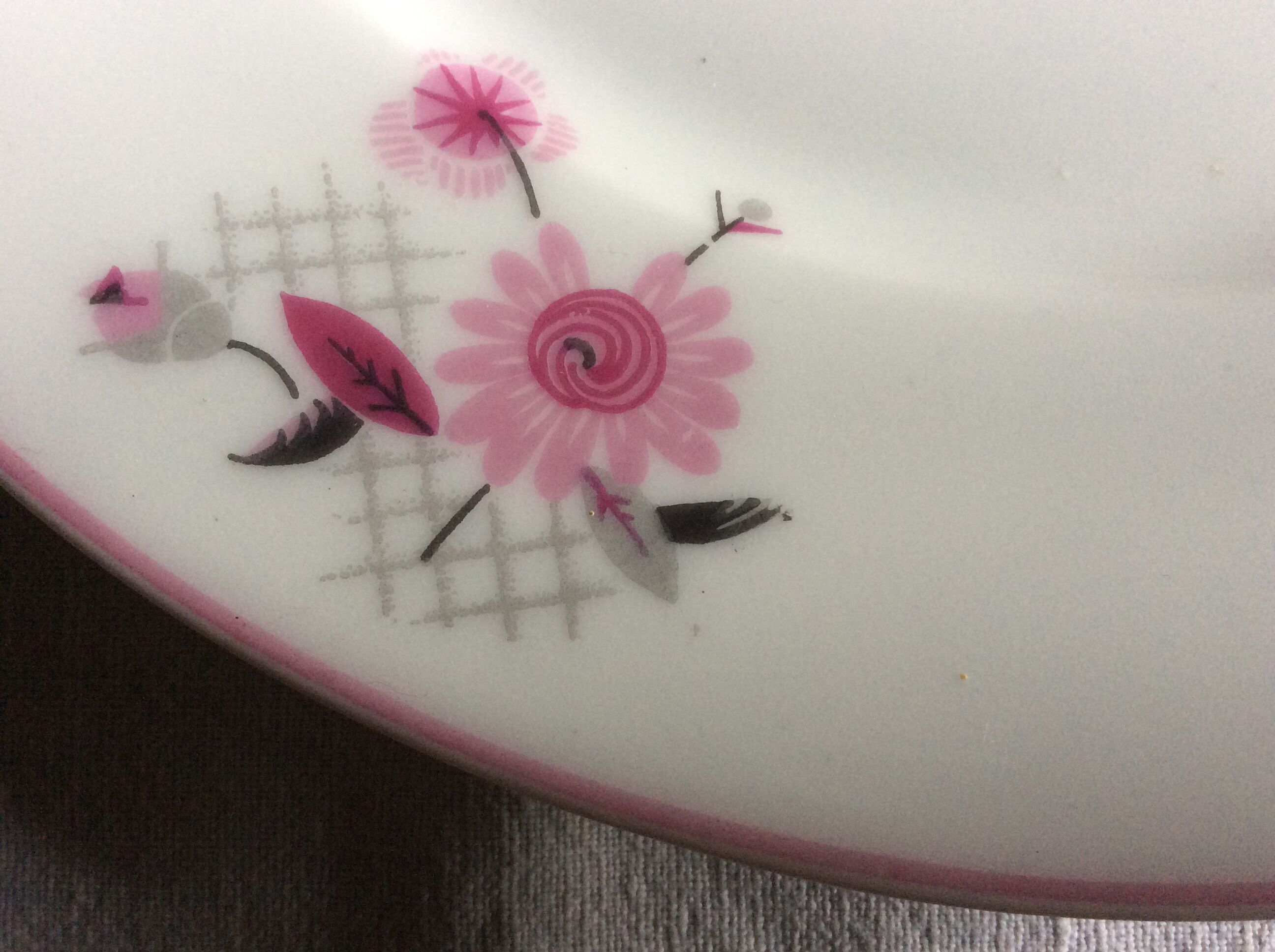 22 flat plates Limoges porcelain, flowers