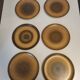 6 flat plates in Longchamp stoneware