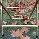 Vintage folding chairs
