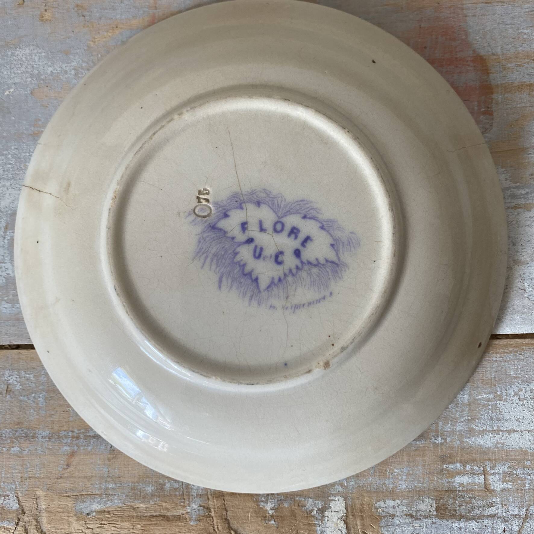 Assiettes en terre de fer décor Flore , coupelles  anciennes