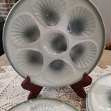 Shell plates Moulin des Loups