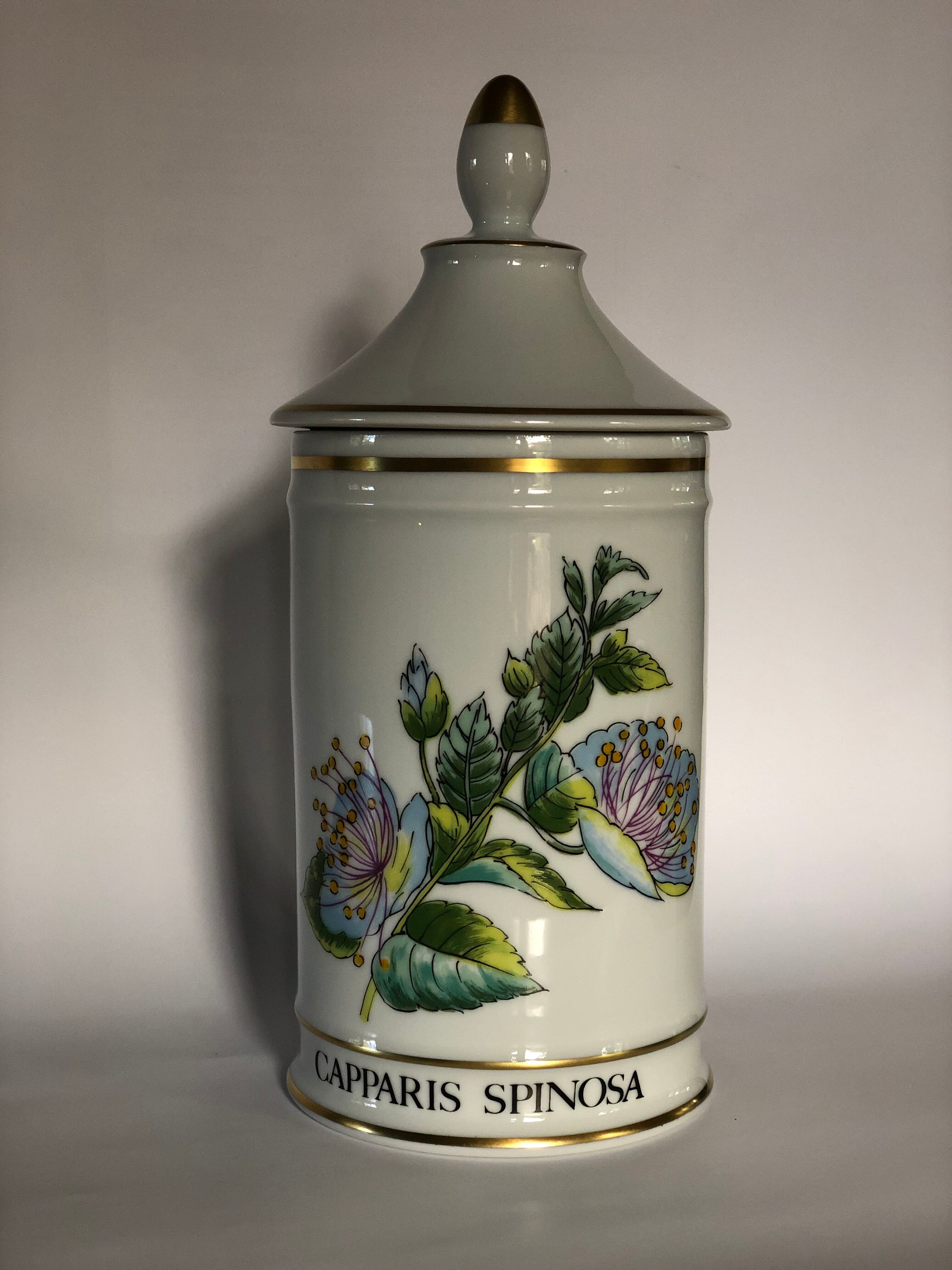 Pharmacy pot "Capparis spinosa"