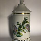 Pharmacy pot "Capparis spinosa"