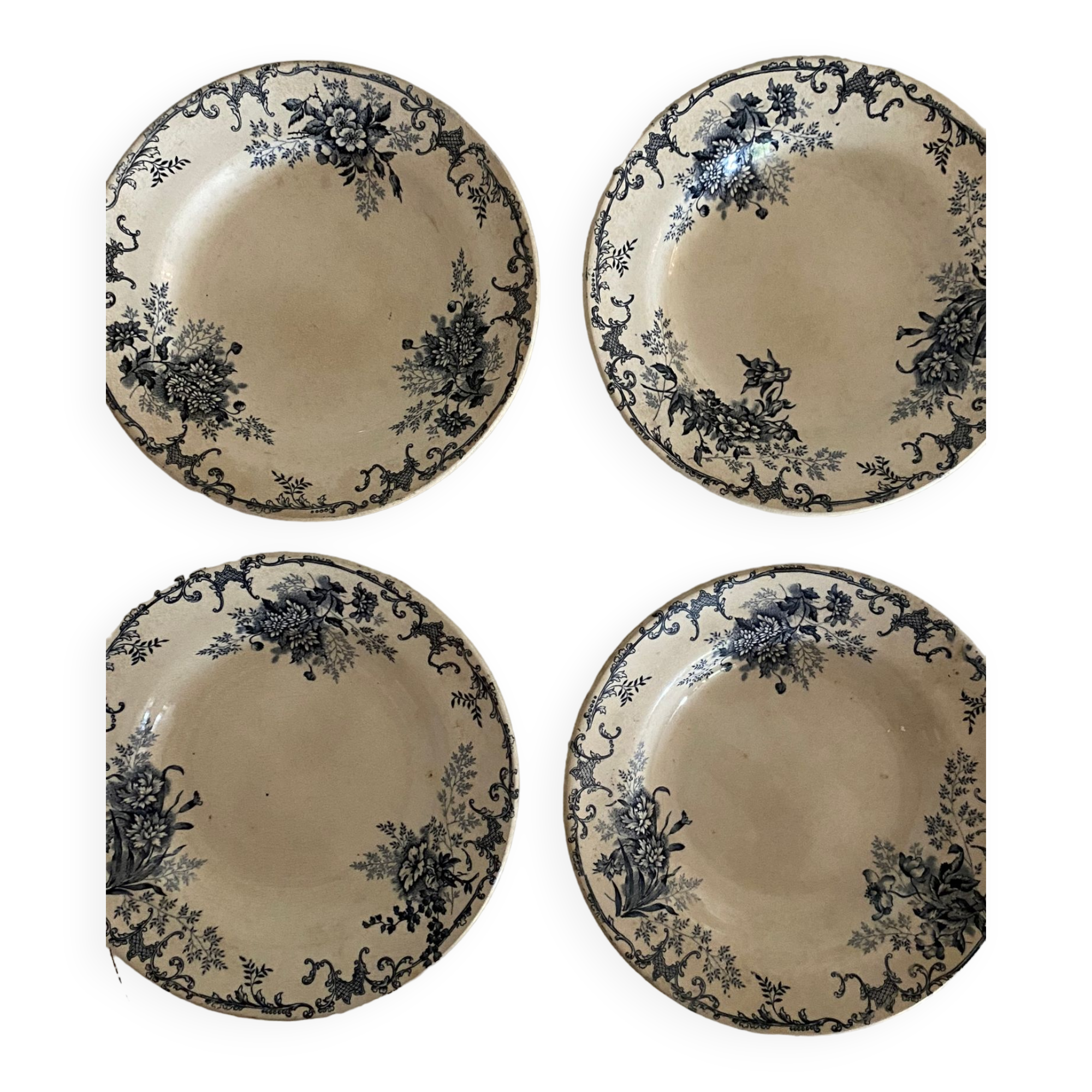 Hollow plates in iron earth, Boulenger