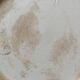 Vase rouleau motif oiseaux de Longwy