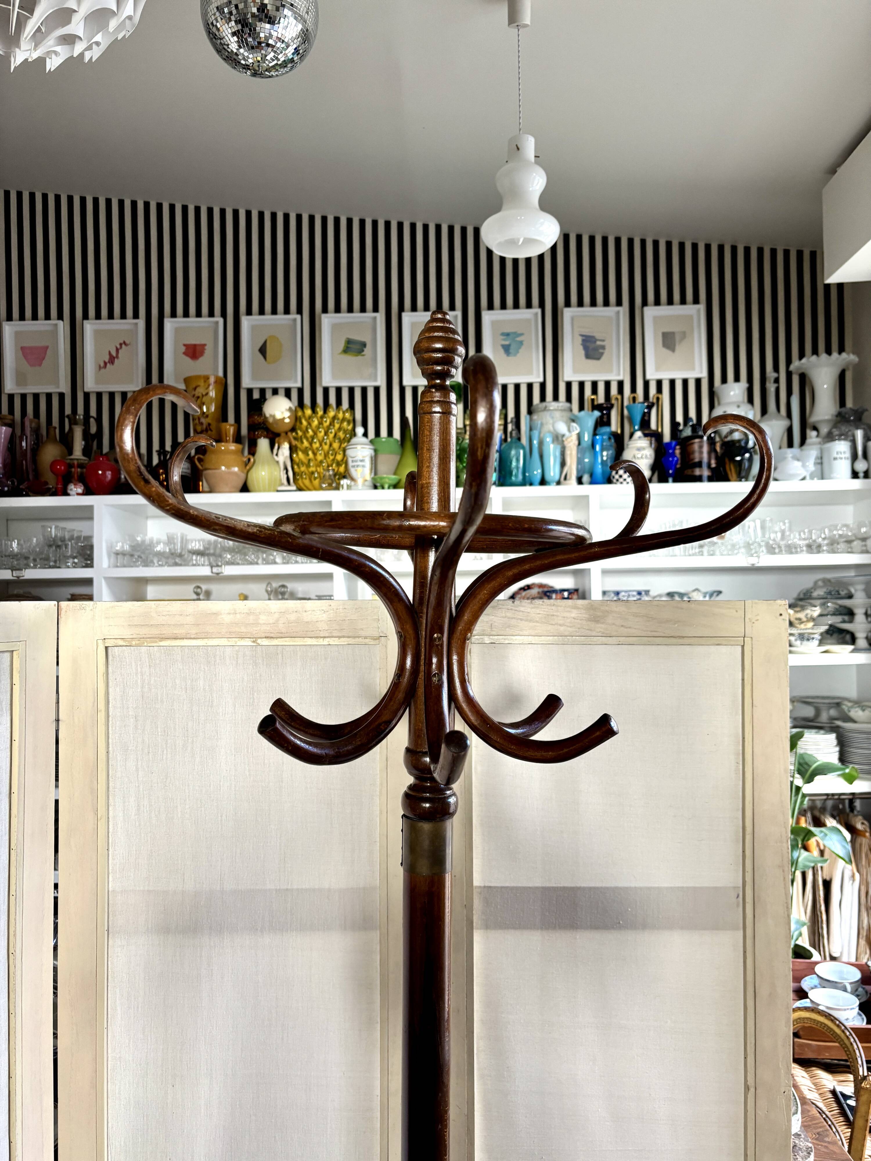 Parrot coat rack with 6 hooks in dark bent beech