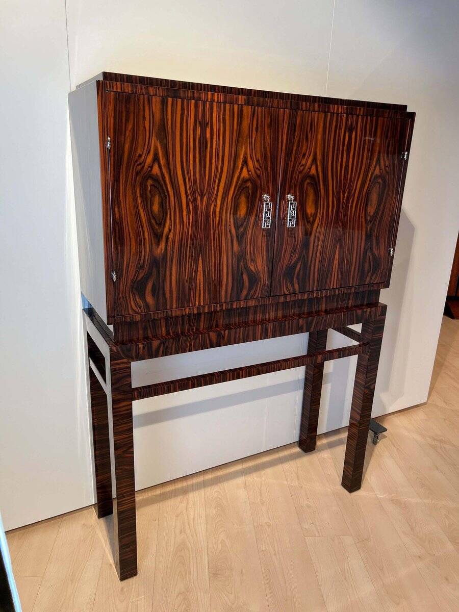 Tall Art Deco Cabinet in Macassar Veneer and Mahogany, France, 1930s