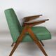 Green Bunny armchair by Józef Chierowski, 1970s