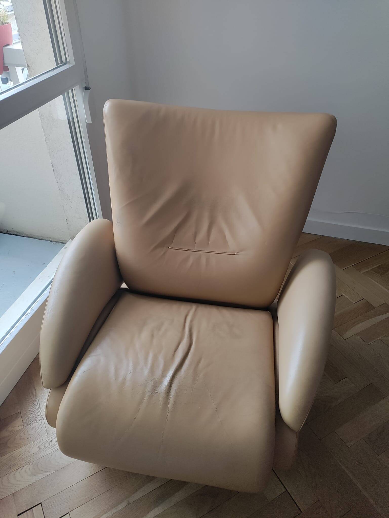 Fauteuil De Sede DS-260