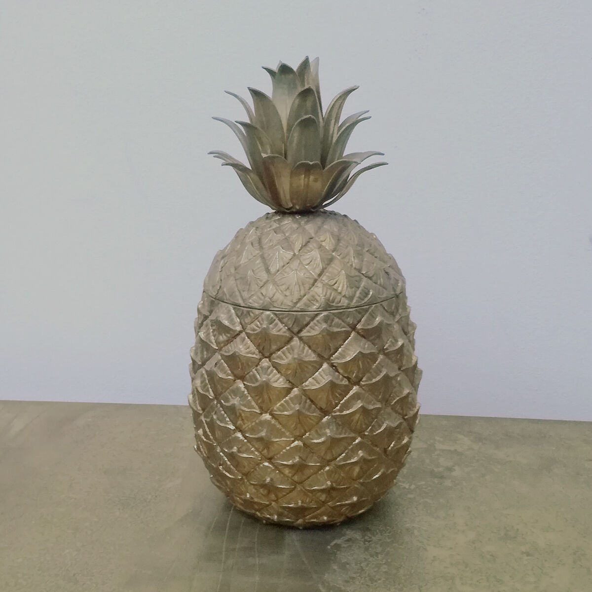 PAR ICI NOS SEAUX À GLACE ANANAS