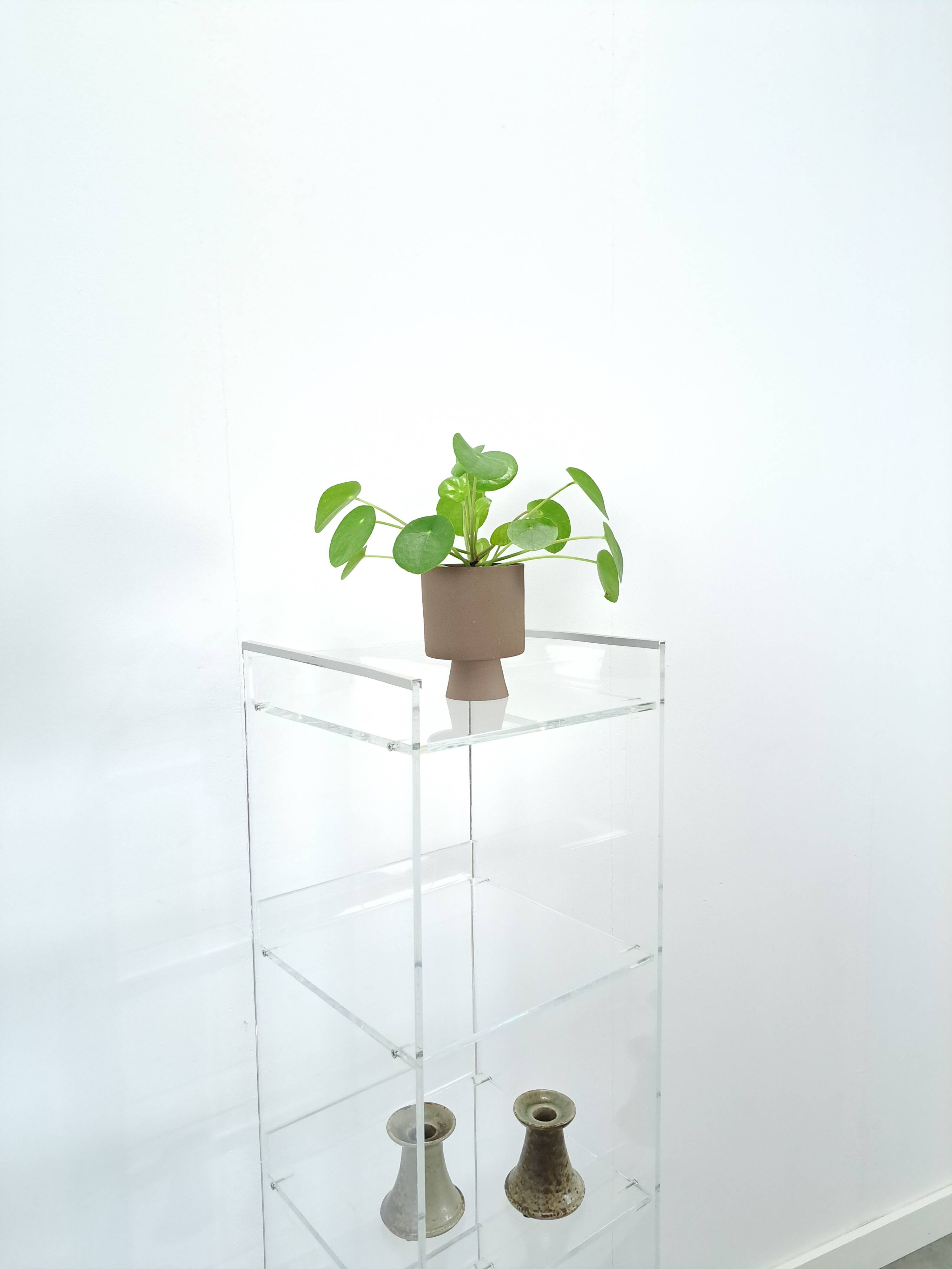 Armoire de rangement en plexiglas sur roulettes