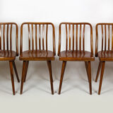 Czech wooden chairs by Antonin Suman for Ton 1960