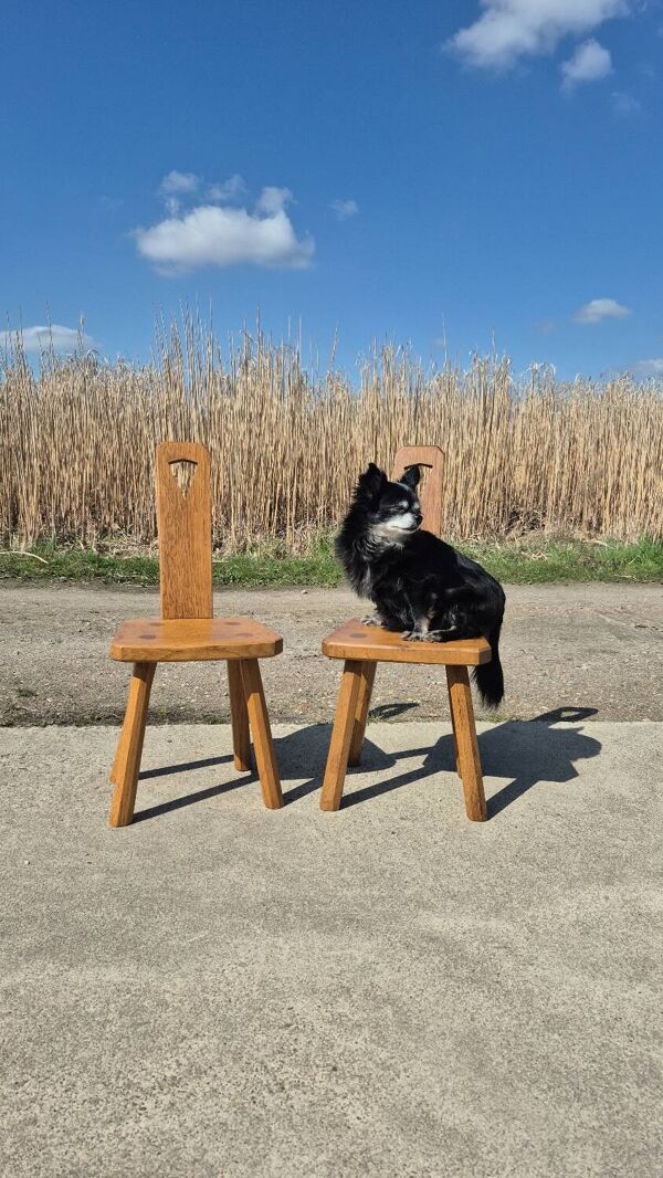 Ensemble 2 - Fauteuil MCM néerlandais en chêne des années 1960 - tabouret de plante brutaliste